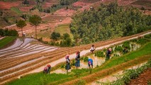 Khau Phạ mùa nước đổ