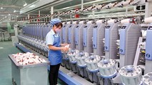 Ảnh minh họa từ internet.