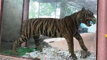 Nghệ thuật hay phạm luật?