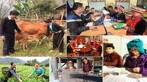 An ninh kinh tế trong tầm với hầu hết dân số Việt Nam