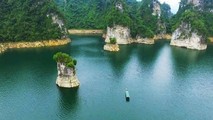 (Ảnh từ internet)