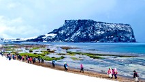 “Chạy đến Jeju”… trực tuyến.