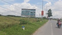 Ảnh minh họa từ internet.