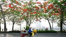 Ảnh dự liên hoan là ảnh đơn hoặc ảnh bộ, chụp tại khu vực Hà Nội, thể hiện tình yêu của người Việt Nam và bạn bè quốc tế với Hà Nội (ảnh minh họa)