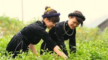 Thụ hưởng chương trình đào tạo kỹ năng số giúp nhiều phụ nữ tự mình tìm kiếm cơ hội kinh doanh, tạo việc làm (ảnh minh họa)