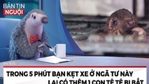 'Biên tập viên' tê tê kêu gọi bảo vệ tê tê