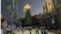 Cây thông Noel với thông điệp đẩy lùi dịch Covi-19 ở xứ đạo Lưu Mỹ.
