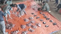 Trâu đã mổ nhưng nhà cô dâu quyết định hoãn đám cưới