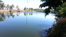 Ba nam sinh chết đuối trong hồ nước tại chùa