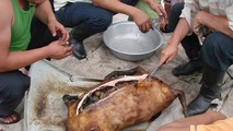 Đến Mông Cổ đừng bỏ lỡ “Boodog”