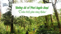 Đường đá cổ Pavi huyền thoại: Trầm tích giữa rừng thẳm