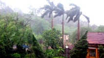 Hiện nay, tại TP Móng Cái (Quảng Ninh) đã có mưa và gió cấp 8… (Ảnh: Báo Quảng Ninh)