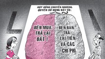 (Hình minh hoạ)