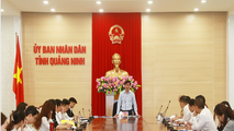 Chủ tịch Quảng Ninh Nguyễn Tường Văn đề nghị mời tư vấn nước ngoài có uy tín cùng tham gia xúc tiến đầu tư.
