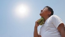 Sốc nhiệt có thể xảy ra với bất kỳ ai nhưng trẻ nhỏ và người lớn tuổi có nguy cơ cao gặp phải tình trạng này. Ảnh minh họa: Internet