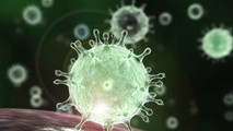 Virus corona có thể tồn tại bên ngoài cơ thể trong nhiều giờ, thậm chí trong nhiều ngày.