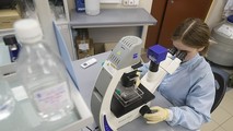 Một nghiên cứu mới cho thấy các nhà khoa học đã phát hiện ra "gót chân Achilles" của virus corona có thể phục vụ cho điều chế thuốc và vắc -xin. Ảnh: Daily Mail
