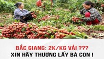 Thông tin vải Lục Ngạn 2.000 đồng/kg lan truyền trên mạng xã hội.