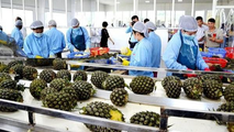 Hơn 30 công nhân Lào Cai nghi bị ngộ độc thực phẩm sau khi dùng bữa chiều