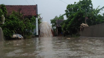 Mưa lớn khiến nhiều diện tích rau màu bị ngập úng