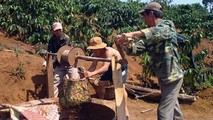 Nguy cơ cạn kiệt và ô nhiễm nguồn nước ở Tây Nguyên