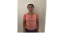Chủ nhà nghỉ kiêm tú bà Lữ Thị Lân