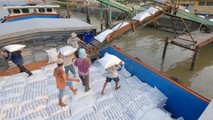 Đánh giá hoạt động xuất nhập khẩu gạo ở khu vực phía Nam