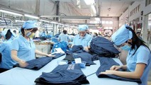 Hội đồng châu Âu thông qua thủ tục cuối cùng cho EVFTA