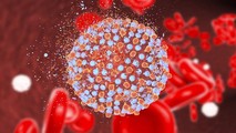 Virus SARS-CoV-2.