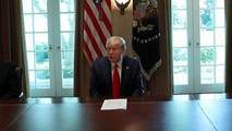 Tổng thống Mỹ Donald Trump.