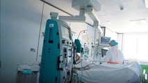 Sốc: WHO nói 1/10 dân số thế giới có thể đã mắc COVID-19