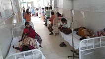 Chuyên gia WHO đến Ấn Độ do bùng phát căn bệnh lạ