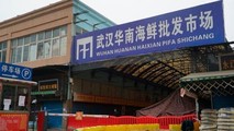 Chợ hải sản Hoa Nam ở Vũ Hán (Hồ Bắc, Tung Quốc) - nơi xuất hiện những ca bệnh COVID-19 đầu tiên.