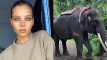 Con voi mà Alesya tạo dáng, chụp ảnh cùng là voi Sumatra, một loài thuộc diện có nguy cơ tuyệt chủng.
