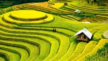 Phát động chương trình kích cầu du lịch vùng Tây Bắc