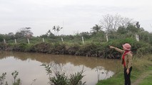 Hải Phòng: Xử phạt dân khi đã hết thời hiệu, Chủ tịch phường bị kiện