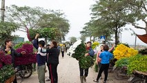 Hà Nội sẽ test nhanh tất cả người bán hoa liên quan đến bệnh nhân 243