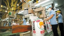 Các doanh nghiệp sản xuất thức ăn chăn nuôi đang nhập khẩu khoảng 70% nguyên liệu từ nước ngoài. (Ảnh minh họa: Dây chuyền sản xuất của Công ty TNHH MTV thương mại và sản xuất thức ăn chăn nuôi Hòa Phát)