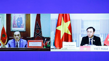 Thúc đẩy hợp tác Việt Nam- Morocco tương xứng với mối quan hệ chính trị tin cậy