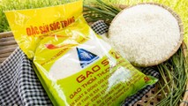 Lại có doanh nghiệp Úc đăng ký sở hữu thương hiệu với gạo ST25