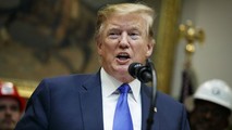 Tổng thống Mỹ Donald Trump.