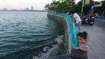 Hà Nội sẽ công khai kết luận thanh tra về chế phẩm Redoxy 3C