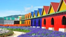 Một góc khu du lịch trang trại rau và hoa như tranh vẽ.