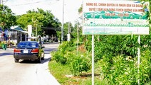 Tuyến đường văn minh khiến Phú Quốc thêm rạng rỡ