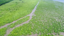 Khát vọng vươn xa từ vùng đất bãi bồi