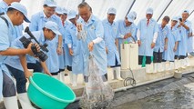 Bạc Liêu với kỳ vọng trở thành Trung tâm ngành công nghiệp tôm của cả nước