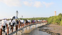Gần lắm Đất Mũi