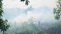 Chủ động phòng cháy chữa cháy rừng trong mùa khô hạn