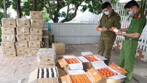 Phát hiện số lượng lớn thuốc bảo vệ thực vật nhập lậu