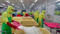 Cà Mau nâng tầm sản phẩm nông nghiệp để xuất khẩu